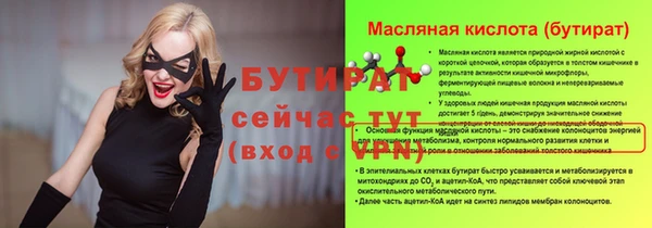 хмурый Осинники