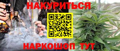 стафф Гатчина