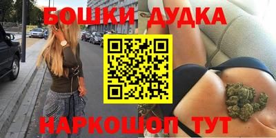 стафф Гатчина